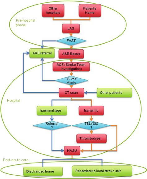 An Example Of The Stroke Clinical Pathway Download Scientific Diagram