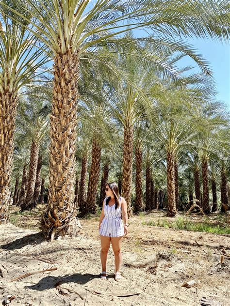 Palm Tree Farm Salton Sea 2 • A Passion And A Passport