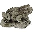 Amazon Toad Garden Statues Cement Frog Sculptures Cast Stone