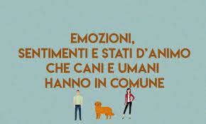 Emozioni Sentimenti E Stati Danimo Quali Differenze Maurizio Dal