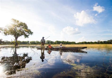 Botswana Safari Packages - Top Rated Tours & Safaris 2024