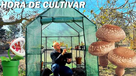 Compro Este Invernadero Para Mis Plantas Carnivoras Y Cultivo De Setas