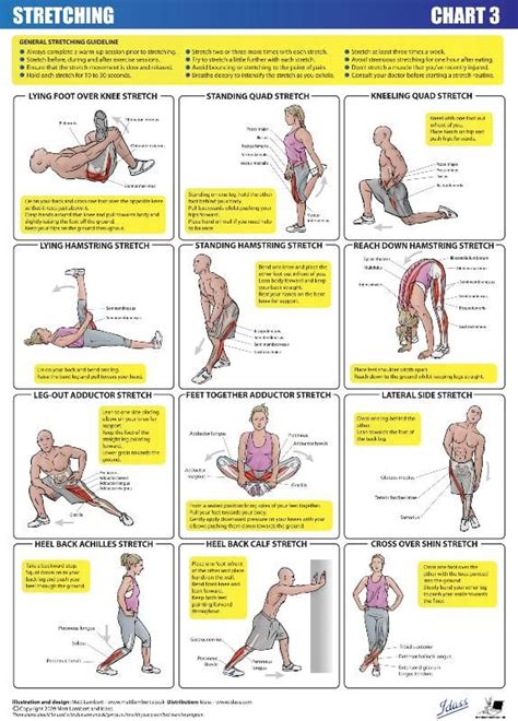 Pin By Luba Mira On Fitness Stretching Stretching Exercises