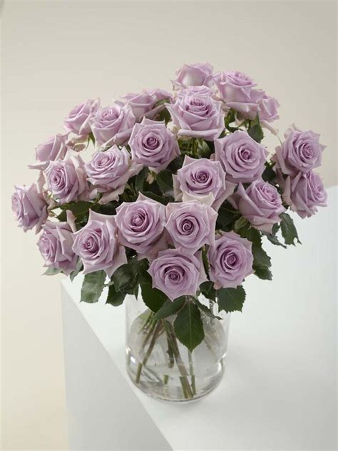 Ocean Song - Green Mountain Floral Supply Inc.