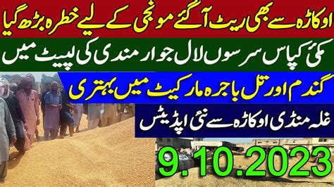 New Makki Munji Wheat Till Kapas Sarson Rates Galla Mandi Okara Rate