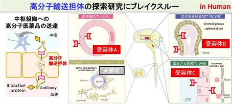 無題ドキュメント