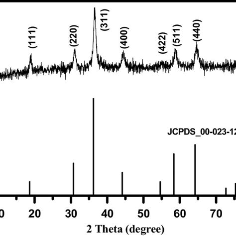 Xrd Patterns Of The Mnco O Powder Calcined At C For H