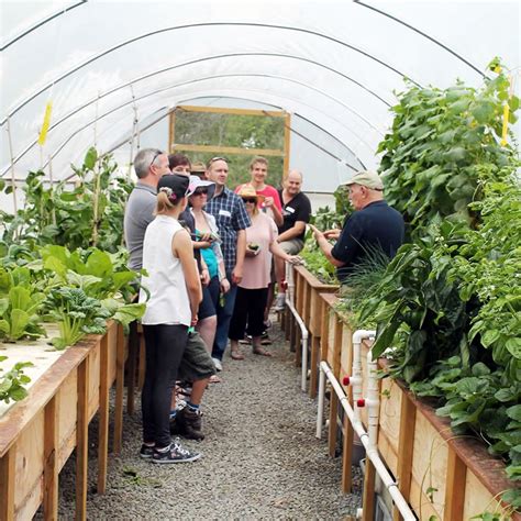 Aquaponics Master Classes Day Future Farms Master Class Practical