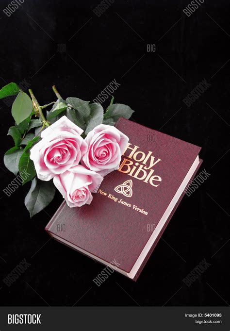 Bible Roses Image & Photo (Free Trial) | Bigstock