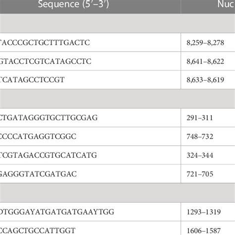 Primers For The Semi Nested Pcr And Nested Pcr To Amplified Hcv Genes