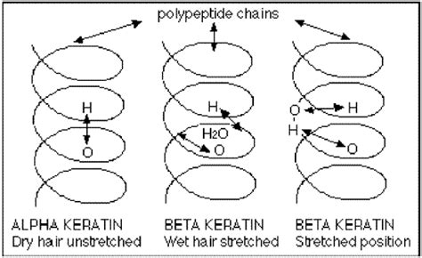 Drying And Styling Hair