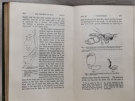 Charles Darwin The Descent Of Man And Selection In Relation To Sex