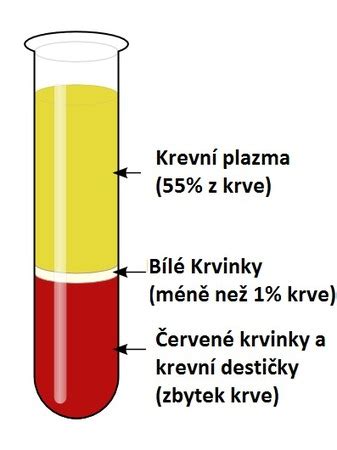 Z Vnb Ii Prvn Pomoc