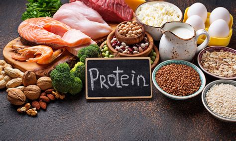 Macronutrients: Protein