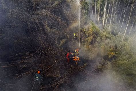 Los Incendios Forestales Han Arrasado 7401 Hectáreas En Colombia Desde