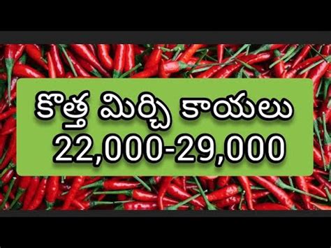 Guntur Mirchi Market Rate Today 01 12 2022 YouTube