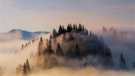 Bing HD Wallpaper Nov 16, 2019: Mountain mists over Bavaria - Bing ...