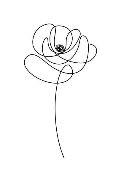 Poppies Flowers In Continuous Line Drawing Sketchy Poppy Collection