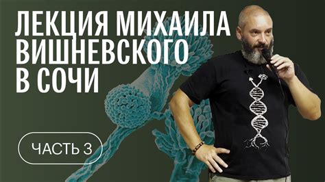 Михаил Вишневский в Сочи. Лекция. Часть 3 - YouTube