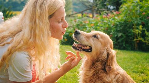 Why Do Dogs Look Like Their Owners Live Science