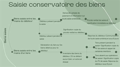 Schema Les étapes de la procédure de la saisie conservatoire DOME