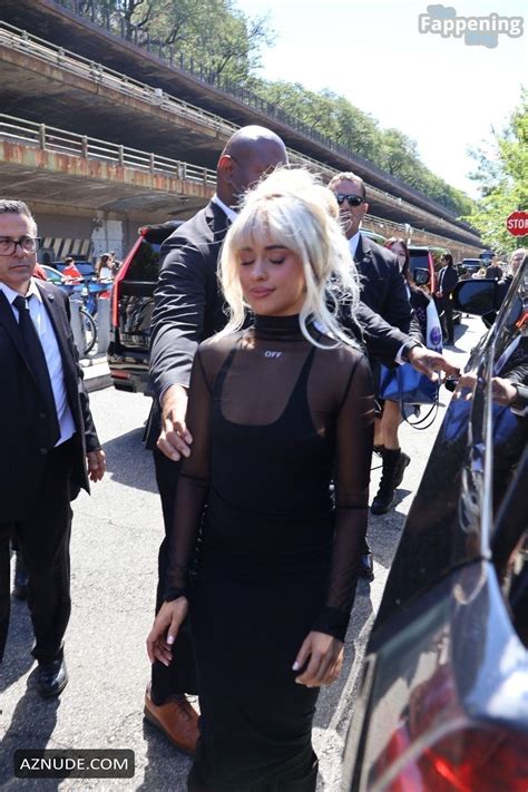 Camila Cabello Sexy Flashes Her Hot Pokies In A Stunning Black Dress At Off White Fashion Show