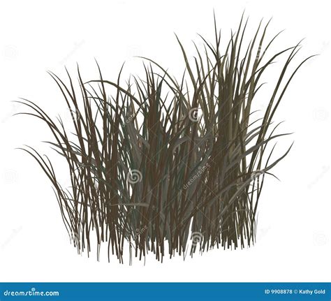 Dead Grass Stock Illustration Illustration Of Lawn Grass 9908878