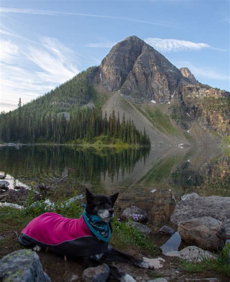 Egypt Lake Epic – Banff NP – Boot Wreckers