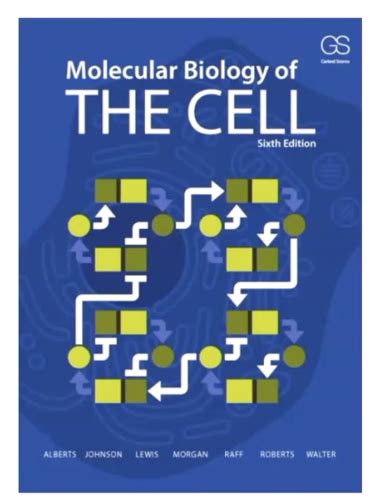 Cell Signalling Vesicular Trafficking Flashcards Quizlet