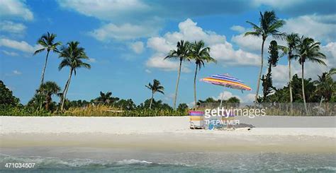 184 Disappearing Island Florida Stock Photos High Res Pictures And