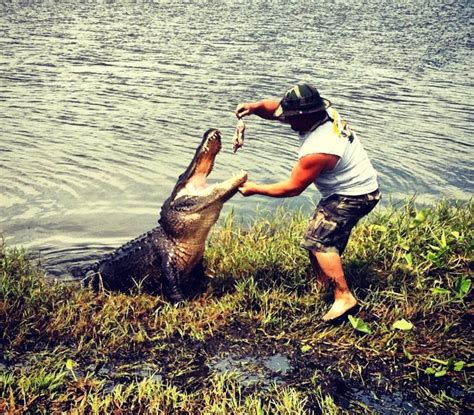 Airboat Adventures NOLA Swamp Tour Coupons 2018 - TripShock!