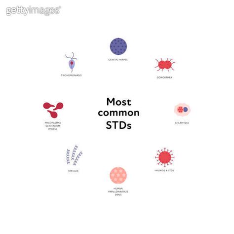 Sexual Transmitted Disease Infographic Vector Flat Healthcare