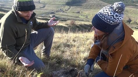 Decades-long experiment on flooding begins in the Yorkshire Dales | Sky ...