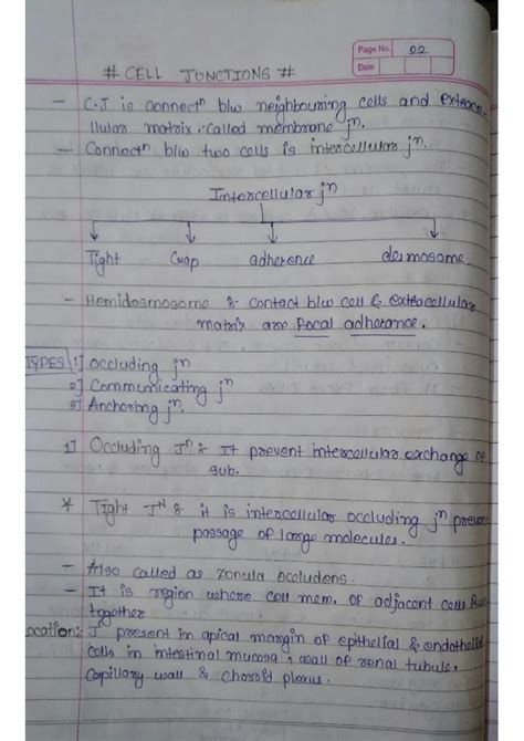 Solution Cell Jun And Homeostasis Studypool