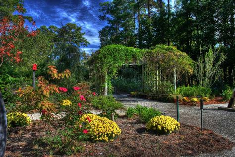 20 Savannah Botanical Garden Ideas To Try This Year | SharonSable