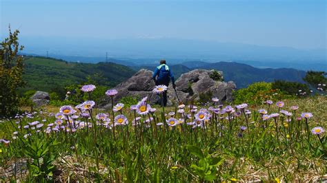 🇺🇦🌸物見山（種山）🌸🇺🇦 ひでジイさんの物見山（種山）の活動データ Yamap ヤマップ