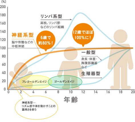 プレゴールデンエイジ とーときっずるーむ｜金沢市田上さくらの児童発達支援・放課後等デイサービス