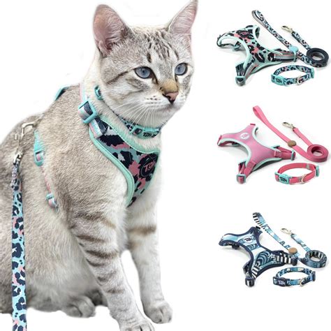 Coleira De Gato Guia Peitoral Neoprene Para Gatos Compre E Ganhe Uma