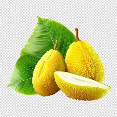 Premium Psd Jackfruit Isolated On Transparent Background