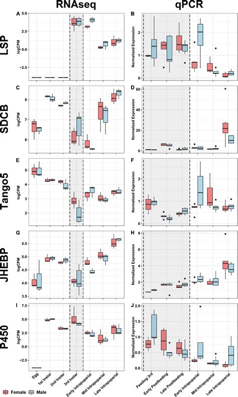 Frontiers Sexual Dimorphism In Growth Rate And Gene Expression