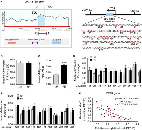 DNA Methylation Of CpG Locus At OXTR Gene Promoter In Human Placental