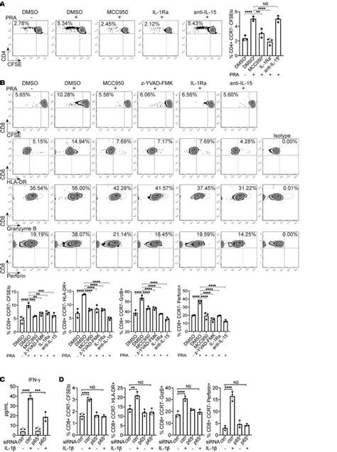 Jci Complement Activated Interferon γprimed Human Endothelium