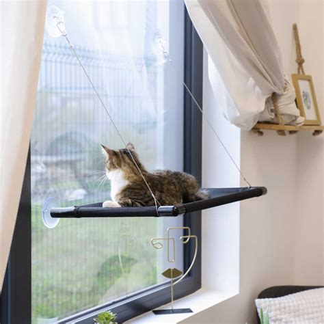 Fenster H Ngematte F R Katzen Zolia Eden Cat