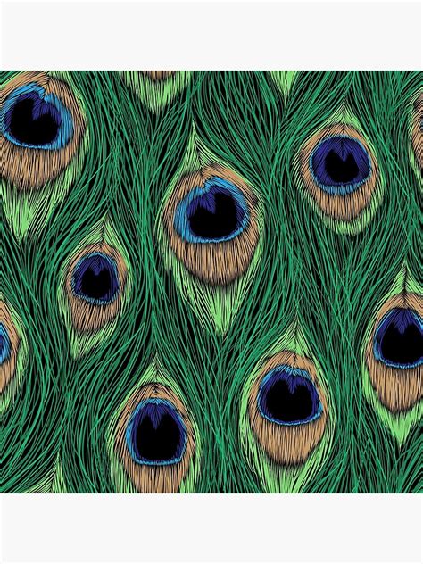 "Peacock Feathers Art" Poster for Sale by SweetThreads79 | Redbubble