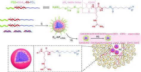 Scheme 1. Polymer-Based Nanoparticles and Their Change in Response to ...