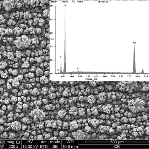 Effect Of Particle Size On Copper A Zinc B And Nickel C Leaching Download Scientific