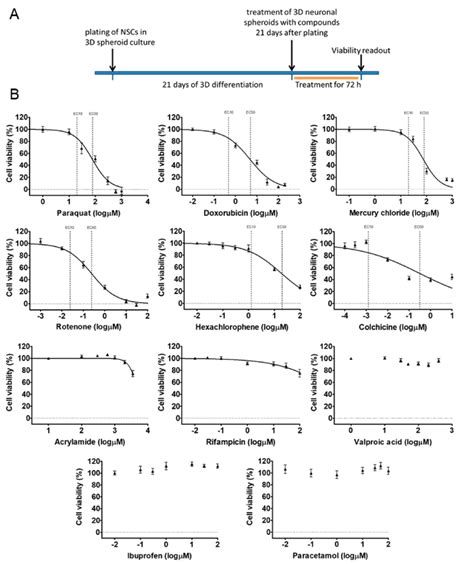 Cell Viability Measurement On D D Neurospheres After H Exposure