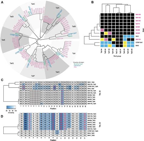 Frontiers Functional And Genome Sequence Driven Characterization Of