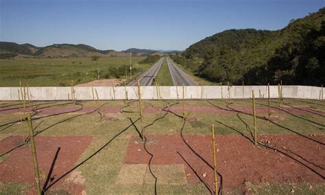 Viaduto Constru Do Para Preserva O Florestal E Ambiental