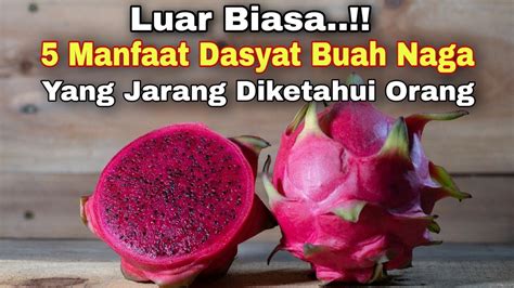 Luar Biasa 5 Manfaat Buah Naga Untuk Kesehatan Yang Jarang